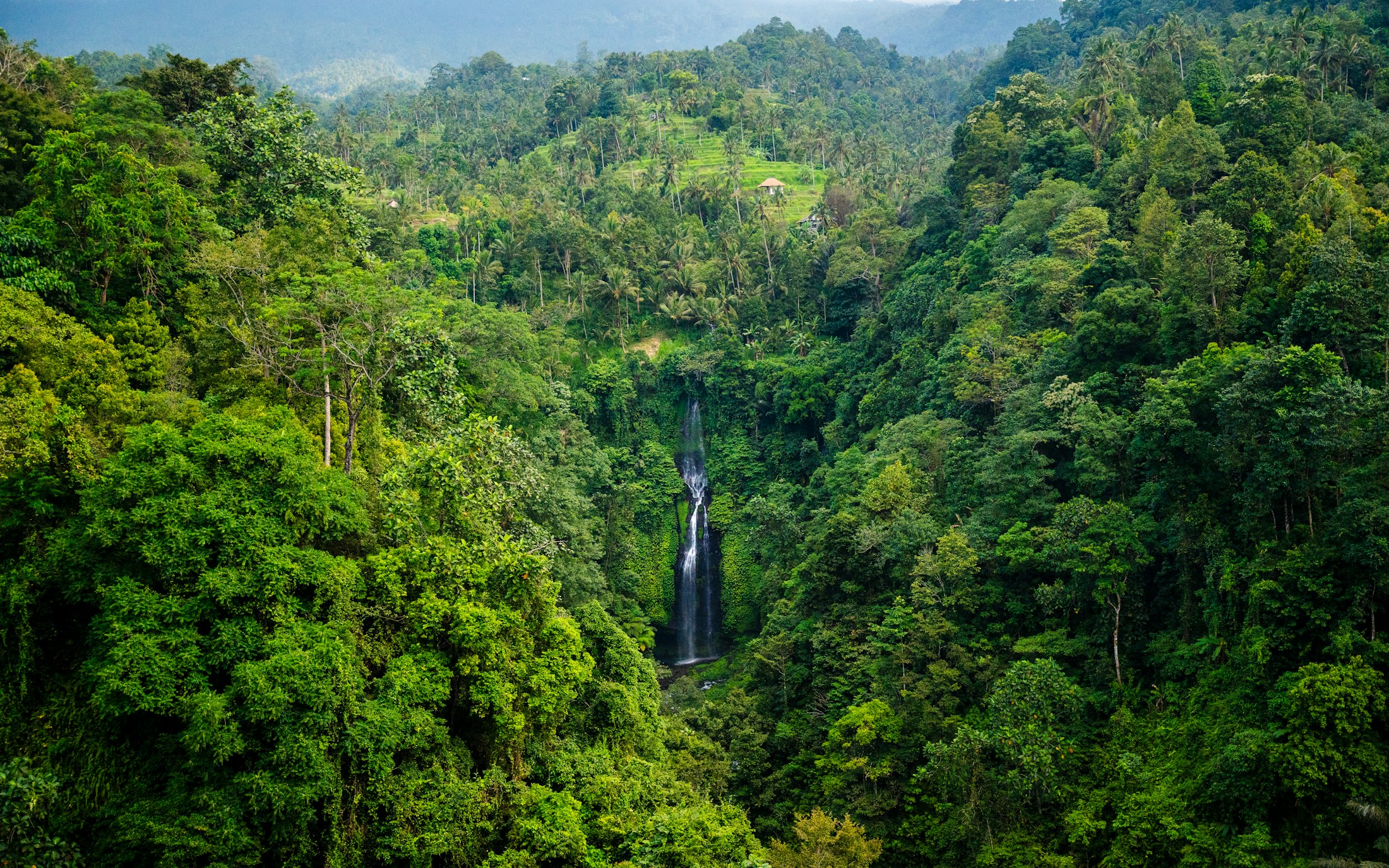 Lush rainforest and waterfall landscape