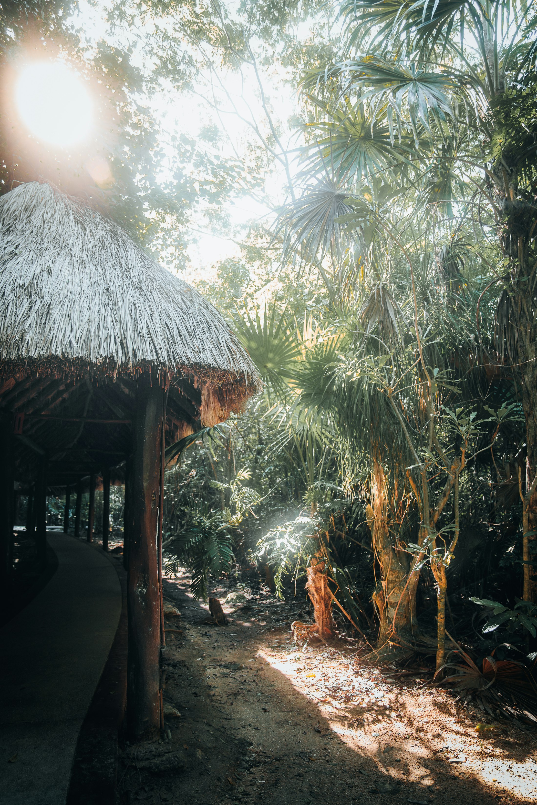 Thatched structure surrounded by jungle vegetation